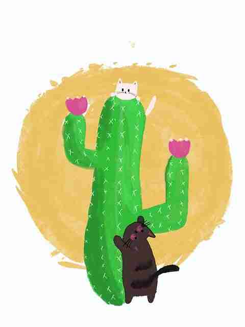 51网网址数据洞察全解析——89步搞定（新手友好）