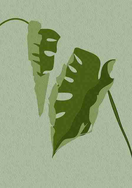 2024年糖心vlog新官方入口强化变现攻略：78招秘籍